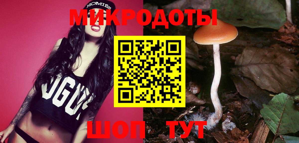 Псилоцибиновые грибы Cubensis Асино