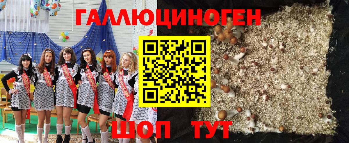 где продают   Галлюциногенные грибы Magic Shrooms  Вход с VPN  Асино  Галлюциногенные грибы прущие грибы 